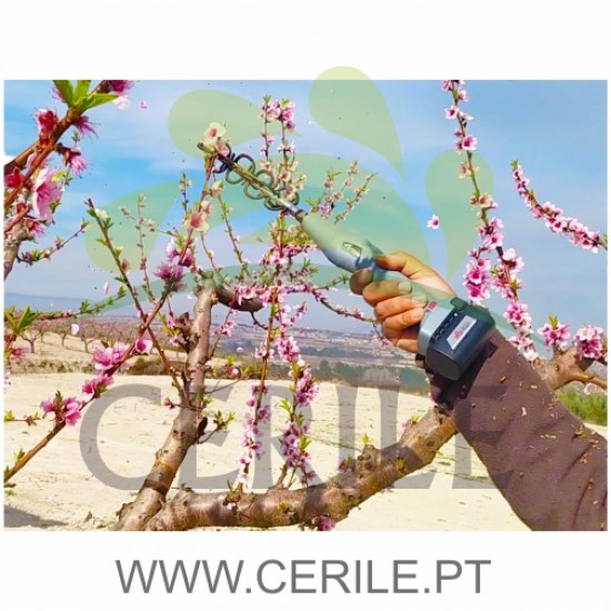 DESBASTADOR / ACLAREADOR PROFISSIONAL A BATERIA ARVIPO AF100