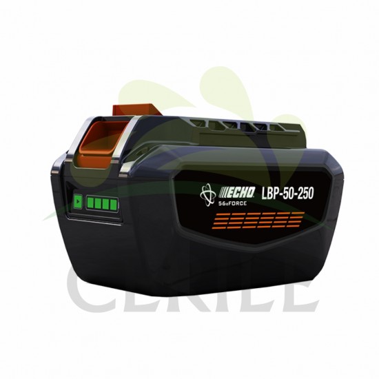 BATERIA ECHO LBP-50-250 5AH EFORCE