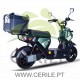 E-MINI SCOOTER - (DEMOP) - FALCON F-24