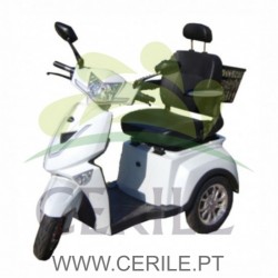 E-CADEIRA DE RODAS MOTOR ELÉTRICO-R3N CHUMBO 20AH  E-CADEIRA DE RODAS MOTOR ELÉTRICO-R3N CHUMBO 20AH