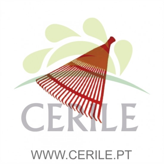 ANCINHO VASSOURA PARA FOLHAS 45 CM