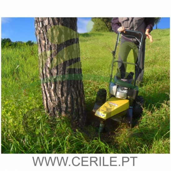 ROBORDADORA AUTOMOTRIZ GASOLINA ECOTECH BT60