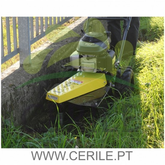 ROBORDADORA AUTOMOTRIZ GASOLINA ECOTECH BT60