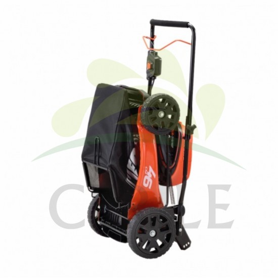 CORTA RELVA BATERIA ECHO DLM-310/46P