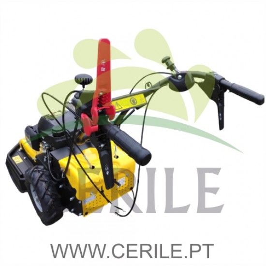 CORTA MATO GASOLINA ROQUES ET LECOEUR RL115