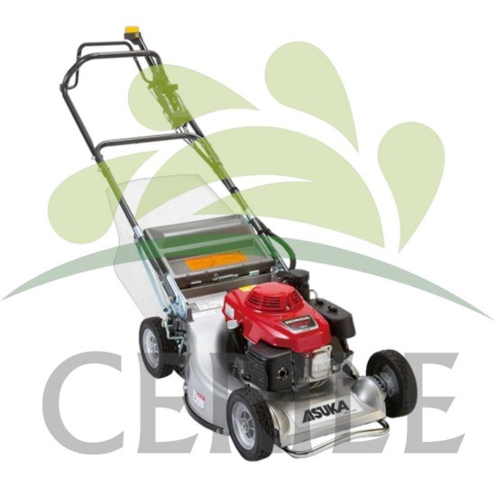 CORTA RELVA GASOLINA ASUKA TN2160SXAH-PRO