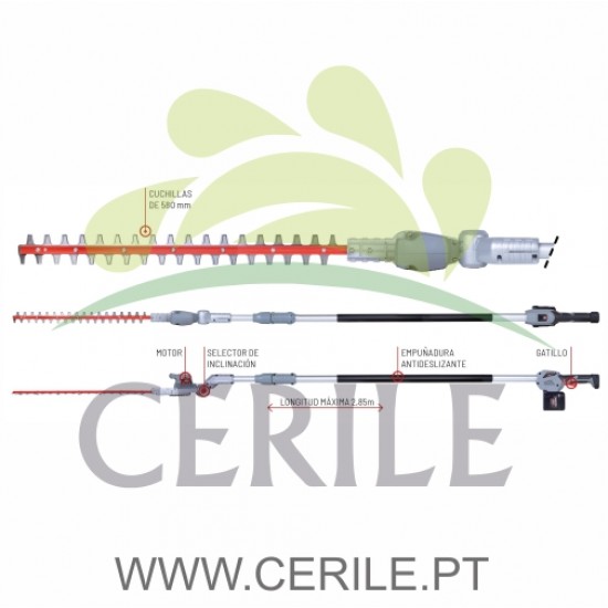 CORTA SEBES EM ALTURA Á BATERIA ARVIPO TT37
