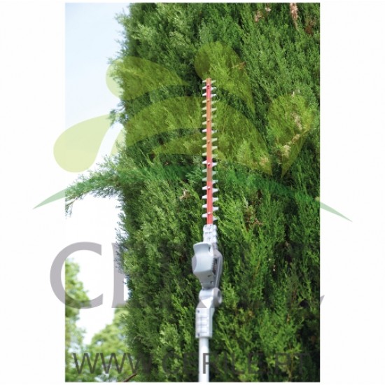 CORTA SEBES EM ALTURA Á BATERIA ARVIPO TT37