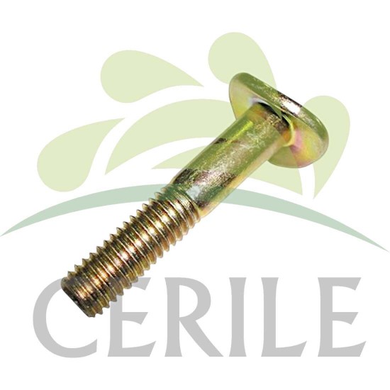 PARAFUSO CARAVELHA BRAÇO CORTA RELVA M8X50MM