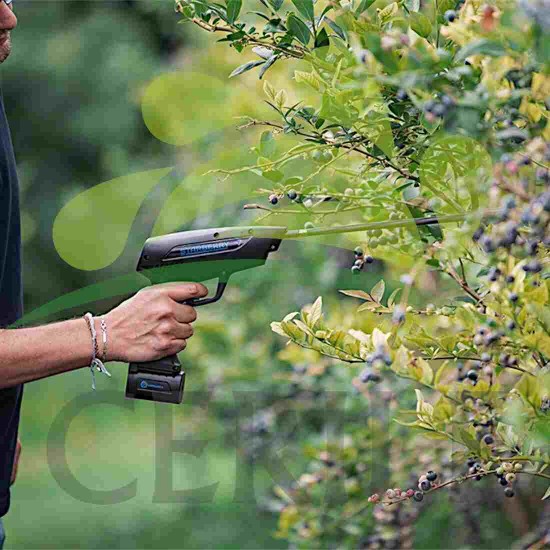 VIBRADOR ELETRICO CAMPAGNOLA STARBERRY MD2