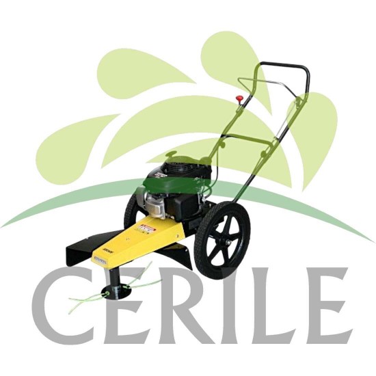 ROÇADORA DE EMPURRÃO GASOLINA ECOTECH DCS 60