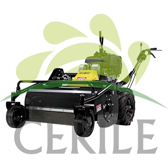 CORTA RELVA AUTOMOTRIZ PROFISSIONAL GASOLINA ECOTECH HSR 110