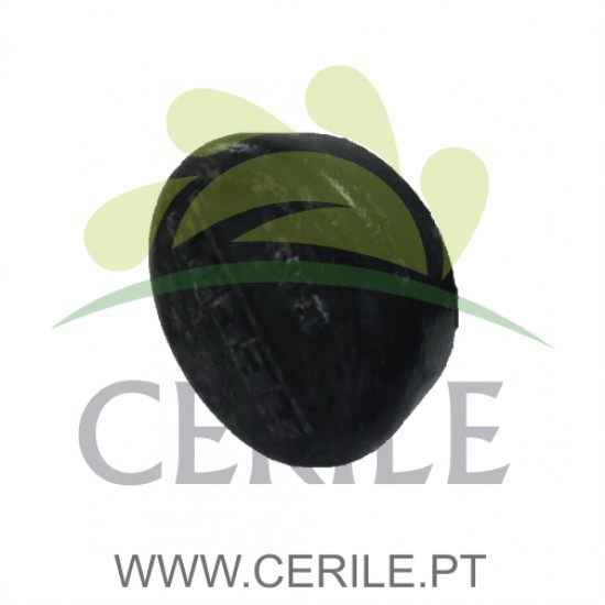 CONTRAPESO PARA MOTOENXADA BENZA BZT1000R3