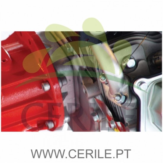 MOTOENXADA GASOLINA DE CAIXA FORT MINITIGRE GX200