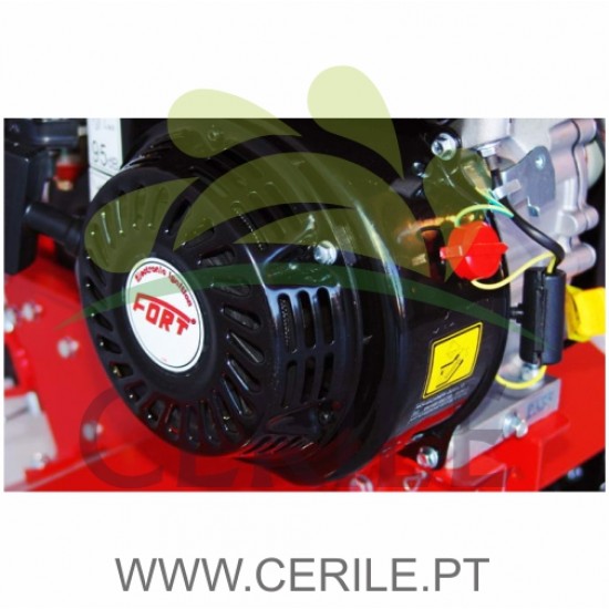 MOTOENXADA GASOLINA CORREIA FORT F51 F65B