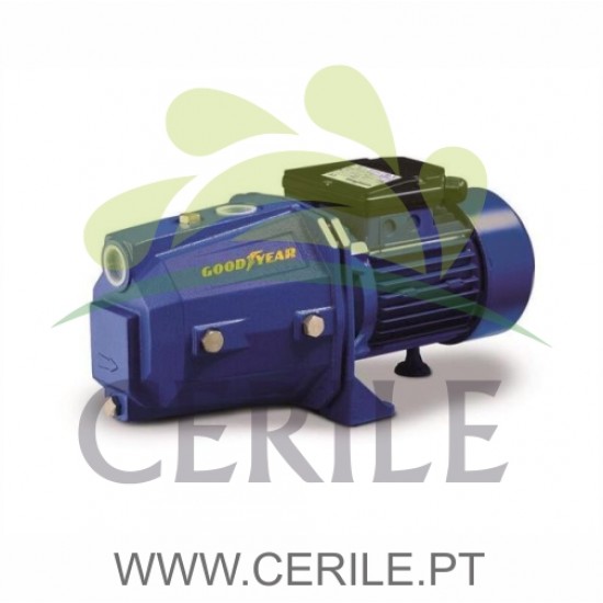 ELETROBOMBA DE SUCÇÃO GOODYEAR GY180EP 1,5 CV
