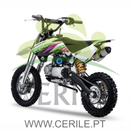 MINI MOTA YCF RIDING START F125 SE