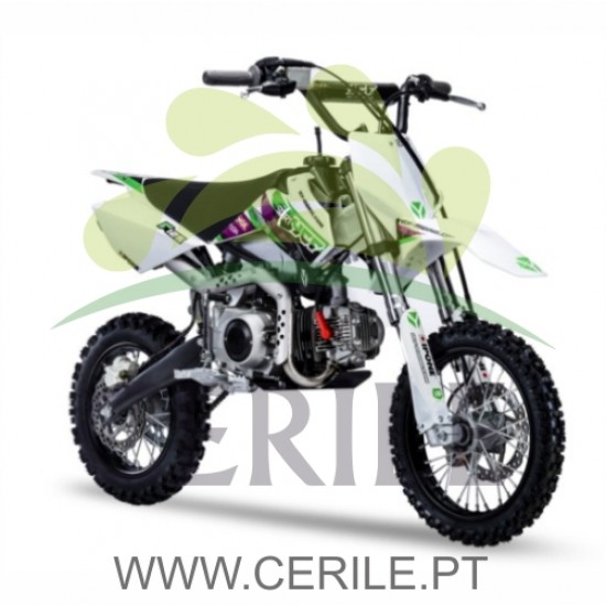 MINI MOTA YCF RIDING START F125 SE