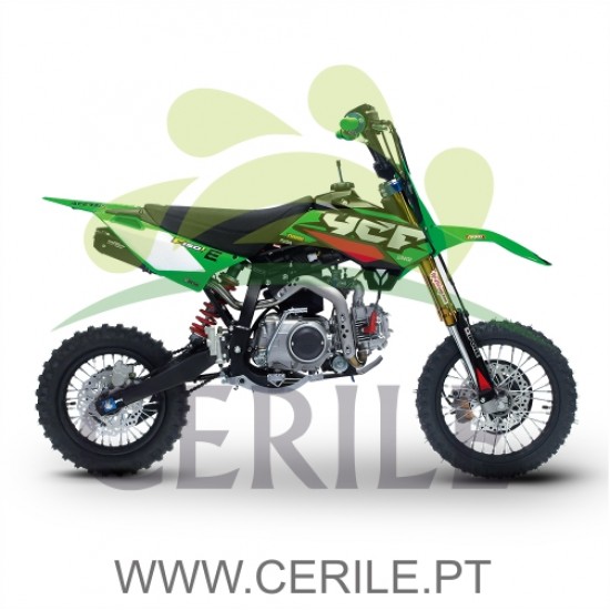 MINI MOTA YCF PILOT F 150 EDIÇÃO LIMITADA (VERDE)