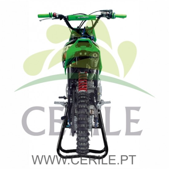 MINI MOTA YCF PILOT F 150 EDIÇÃO LIMITADA (VERDE)