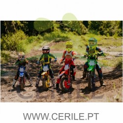 MINI MOTA YCF PILOT F 150 EDIÇÃO LIMITADA (VERDE)