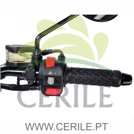 MOTA BLUROC HERO 250 (E5)