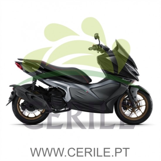 MOTA MALAGUTI MADISON 125