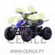 TOX MINI QUAD ELETRICO 800W RAPTOR-6 (E-QD03L)