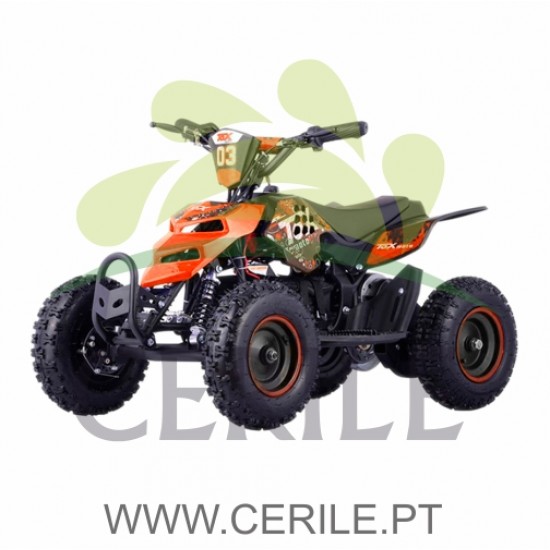 TOX MINI QUAD ELETRICO 800W RAPTOR-6 (E-QD03L)
