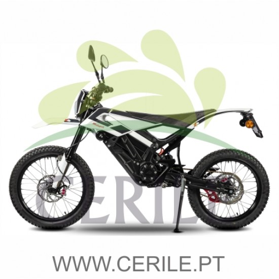 MOTA ELÉTRICA MALAGUTI XAM L1E