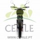 MOTA ELÉTRICA MALAGUTI XAM L1E