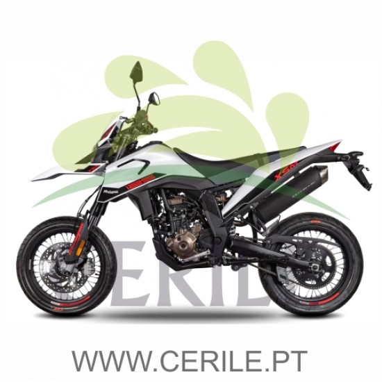 MOTA MALAGUTI XSM 125 ABS