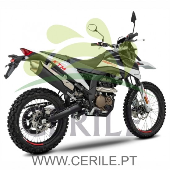MOTA MALAGUTI XTM 125 ABS