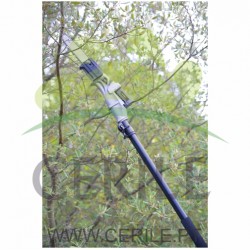 MOTOSSERRA TELESCÓPICA A BATERIA ARVIPO HS32