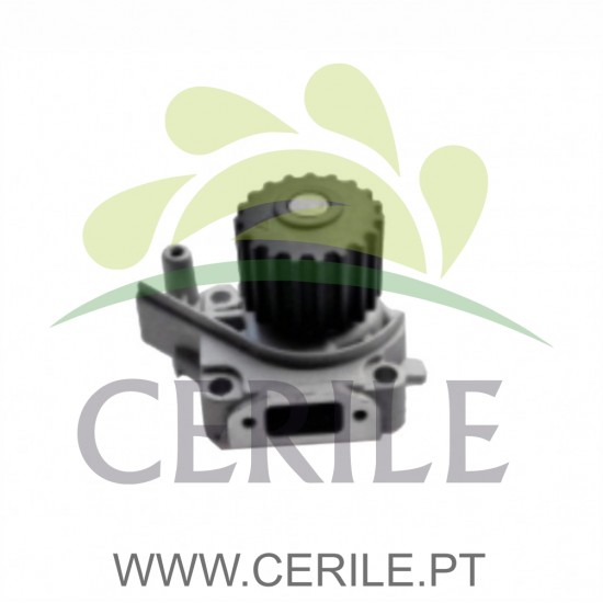 BOMBA AGUA 19D.C/2 JUNTAS ADAP.LOMBARDINI FOCS