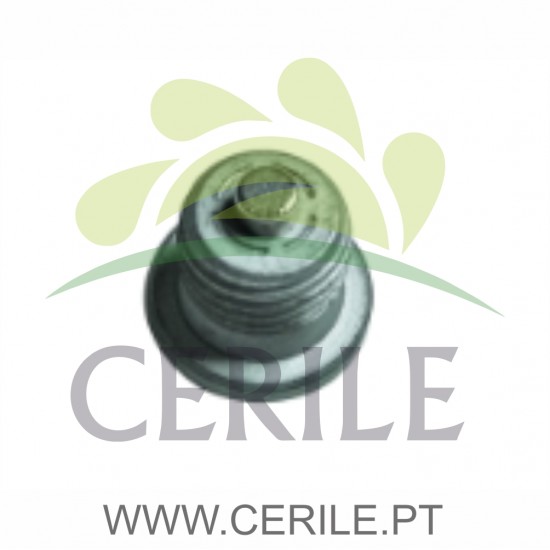 BUJAO OLEO CAIXA LOMBARDINI DCI COM IMAN ORIGINAL