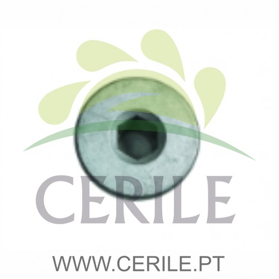 BUJAO OLEO CAIXA LOMBARDINI DCI COM IMAN ORIGINAL