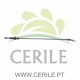 CABO ACELERADOR ADAP.JDM ALOES