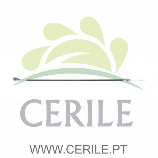 CABO ACELERADOR GRECAV SONIQUE