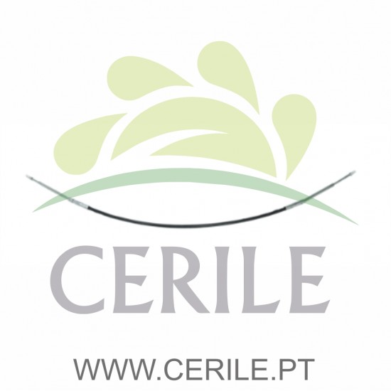 CABO MUDANÇA ADAP.LIGIER 162/AMBRA