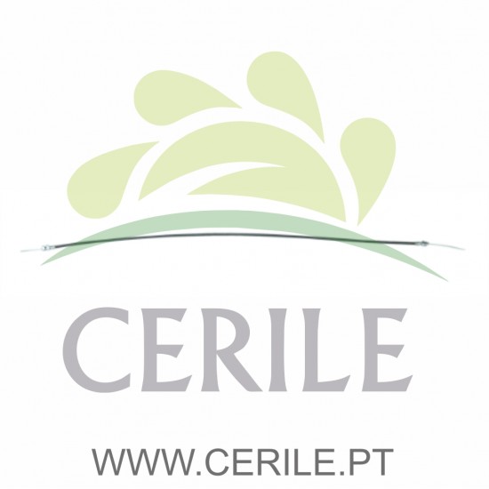 CABO MUDANÇA ADAP.MICROCAR VIRGO FRENTE