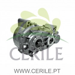 CAIXA VELOCIDADE MICROCAR MGO