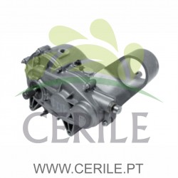 CAIXA VELOCIDADE VARIOS MODELOS LIGIER