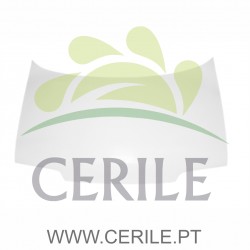 CAPOT ADAP.MICROCAR LYRA FIBRA