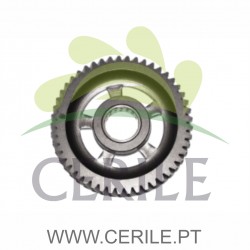 CARRETO 1ª VARIOS MODELOS