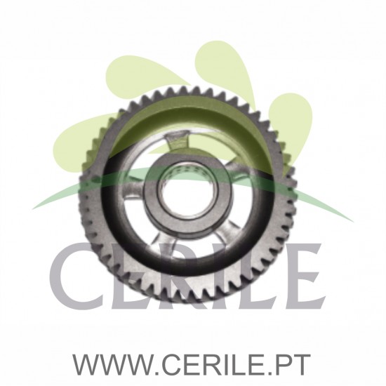 CARRETO 1ª VARIOS MODELOS