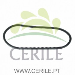 CORREIA ALTERNADOR 10x813