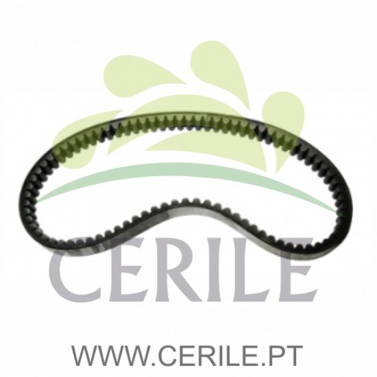 CORREIA VARIADOR 021