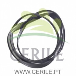 FRISO VIDRO MALA AIXAM A540 ORIGINAL