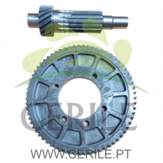 GRUPO VEIO + RODA COROA DCI